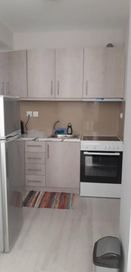 Nikiana Family Apartment מראה חיצוני תמונה